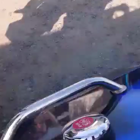 おはようございます♪(movie)の画像