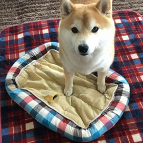 想定外な出来事の画像