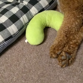 まだお疲れの画像