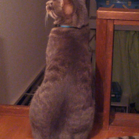 良い子なんです(*^^*)の画像