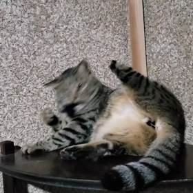 今日は禁酒の日の画像