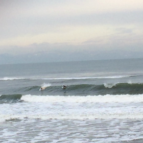 今朝のなべちゃんの画像