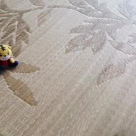 ありがとうの画像