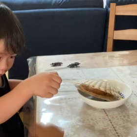 びっくりの画像