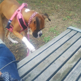 う～ん。。の画像