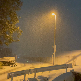 自然の匂いの画像