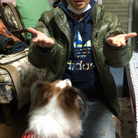 明けました♪ おめレオ☆の画像