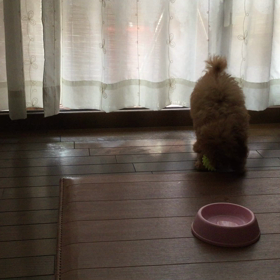 あそぼ〜〜の画像