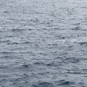 ショーを見たよの画像