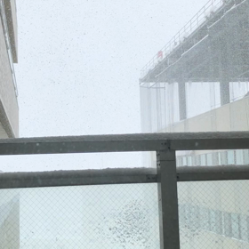 昨日と今日の画像