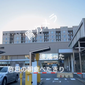 胃カメラの画像