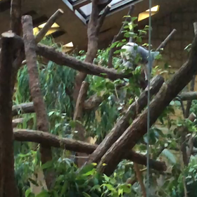 お待たせしました。の画像