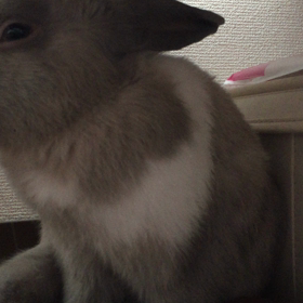 眠たいね！の画像