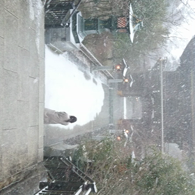 1月7日 初詣 秋葉山の画像