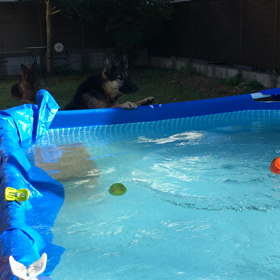 フニャヘロビローーーン❤︎クレオ編【動画】の画像