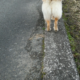 おちり♥の画像