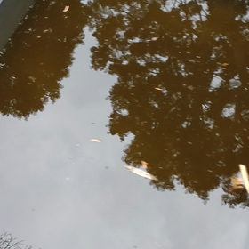 ヤバいなの画像