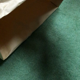 飛び出す猫の画像