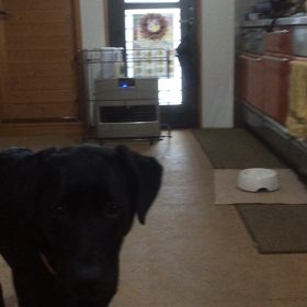 31日から24日変更〜の画像