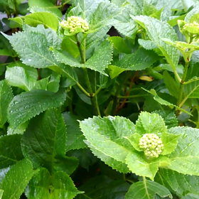 テンション停滞中の画像