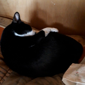 連勤初日終了の画像