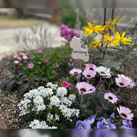 3月のお庭の画像