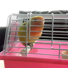 (^^;)　６の画像