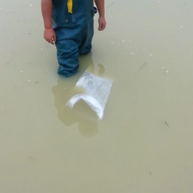 元気に逃げていったの画像