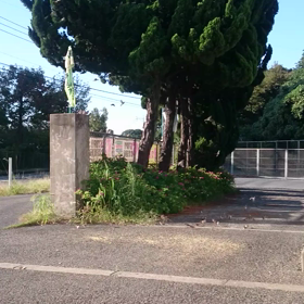 すずめちゃん達のその後…(ーー;)の画像