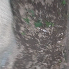 ルピ子　生存確認！の画像