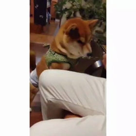 再度の休職１日目～3日目の画像