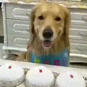 メルマガ今月号執筆中ってことと、言ったでしょ？ってことの画像