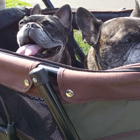 RUN&カラテ修行7-35の画像