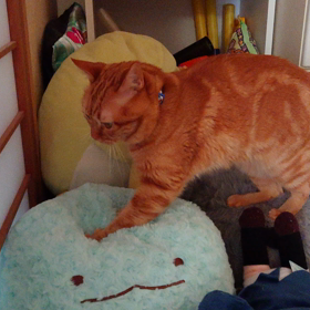 ふみふみ〜の画像