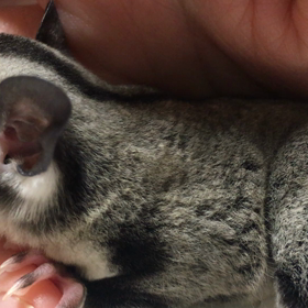 今日のなっちゃん❤の画像