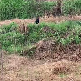 岐阜県各務原市 社労士 助成金 従業員の雇用を守る 雇用調整助成金申請いたします。の画像