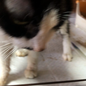 今朝の様子の画像