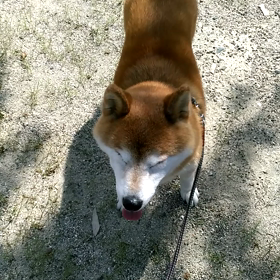 動いてください。の画像