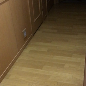 朝のブログ、ジム、筋肉と太る事、チップ君、字幕付きチップとデールの動画の画像