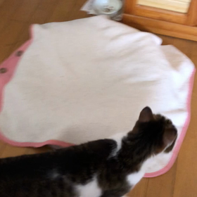 不明な出金…涙いつもなら行かないのに暇で出かけたい。デールは楽しい。の画像