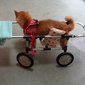 スイーピーの仲間たちの画像