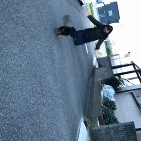 ココショコの画像