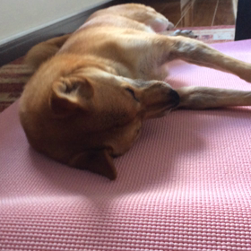 美顔マッサージの画像