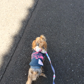 肉離れのその後の画像