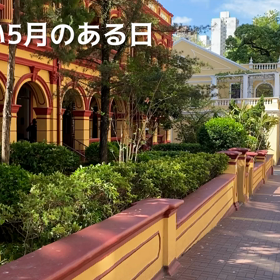 風の強い5月のある日の画像