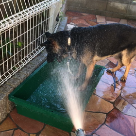 お水遊び大好き！の画像