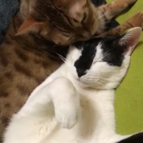 仲良しコンビ(*^^*)の画像