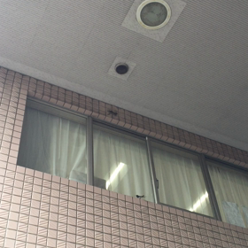 ㊗️２０２０年プロ野球開幕の画像