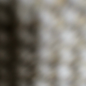 歯医者さんごっこ。の画像