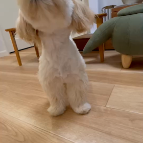 奇跡の成功の画像